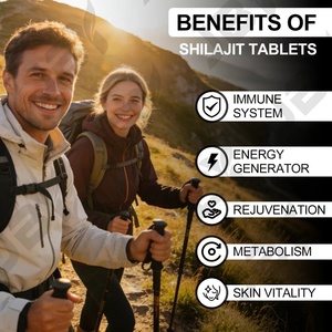 Complément Alimentaire Végétalien JBY pour le Soutien Immunitaire, la Gestion de l'Énergie et la Vitalité de la Peau, avec Shilajit, 85+ Oligo-éléments et Acide Fulvique en Comprimés - Product Image 6