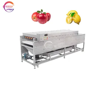 Industrieel Proces Kersenaardbeimachine Hogedruksproeiwasmachine Voor Fruittomaat