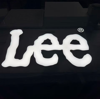 Enseigne LED extérieure pour entreprises avec télécommande, alimentation CA, étanche IP65, pour la publicité des magasins et des hôtels