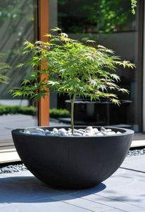 Moderno Extra-Large in fibra di vetro <span class=keywords><strong>albero</strong></span> fioriera vaso di fiori su misura di colore verniciato per <span class=keywords><strong>giardino</strong></span> e asilo nido centro commerciale - Product Image 5