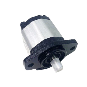 Bombas de Engranajes Hidráulicas Blince de Repuesto para la Serie NP1NN, Origen China, 0.6 kg - Product Image 4