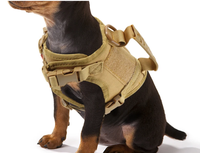 Harnais de poitrine respirant double couche pour chien et chat, anti-explosion, avec laisse, accessoires et fournitures pour animaux de compagnie