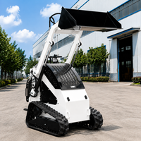 Minipala Compatta con Capacità di 300kg, Accessori Personalizzabili OEM, Motore Diesel Euro 5 EPA, Garanzia di 2 Anni