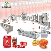 Automatische tomatenverwerkingslijn, tomatenproductielijn, eenheid voor sausproductie, Turkse machine voor het maken van ketchup