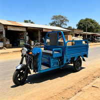 Tricycles électriques à trois roues de haute qualité, meilleur rapport qualité-prix, pour adultes, avec caisse ouverte, pouvant accueillir deux personnes, 800W, robustes, avec éclairage LED, capacité de charge de 200-300 kg