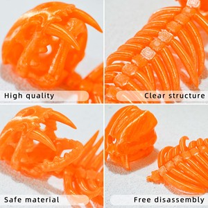 Nouvel Arrivage : Squelette de Dinosaure Artificiel Suspendu, Modèle Imprimé en 3D, Personnalisable, Faible MOQ, Collection 3D, Jouets en Plastique - Product Image 2