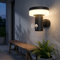 Lampes murales solaires LED extérieures étanches IP65 avec détecteur de mouvement, alimentées par batterie, pour porte d'entrée, jardin, cour, garage, terrasse