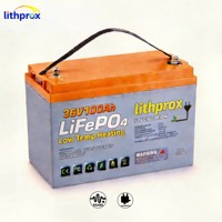 Batería LiFePO4 de Alta Capacidad 36V 100AH Grado A 6000 Ciclos para Carrito de Golf con BMS Inteligente RS485, Conector Anderson, Certificación CE RoHS IP67, Servicio OEM ODM