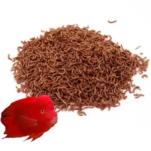 Des vers de sang lyophilisés pour les poissons - Product Image 1