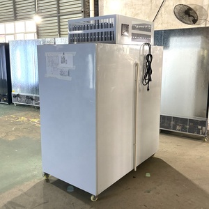 Duy nhất-nhiệt độ phong cách 2 cửa kính đóng gói Ice Cube merchandiser lưu trữ tủ đông hộp container - Product Image 4