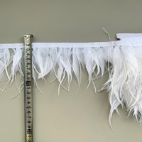 Robe de performance pour célébrations de vacances, avec plumes d'autruche de 10-15 cm et bordure en dentelle de plumes d'oie, accessoires vestimentaires