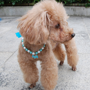 طوق قطط وكلاب فاخر بالجملة، متين وجميل، قابل للتخصيص وصديق للبيئة، مزين باللؤلؤ، قابل للتعديل - Product Image 3