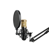 Ensemble de microphone à condensateur pour enregistrement, microphone filaire pour ordinateur portable, téléphone portable, karaoké en direct, carte son