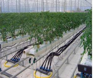 แนวตั้ง Aeroponics ระบบเรือนกระจก - Product Image 4