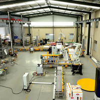 Sistema de Línea de Embalaje de Palés Totalmente Automático, Dispensador de Palés, Robot Paletizador y Equipo de Envoltura