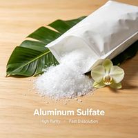 Perusahaan Perdagangan Aluminium Sulfat Produsen Bahan Kimia Pengolahan Air