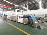 Ligne de pasteurisation Baiyu pour emballages souples avec température et vitesse réglables pour légumes marinés, yaourts et viandes