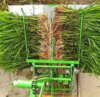 Planteuse de riz manuelle mini haute efficacité à 2 rangs avec engrenage central, machine à repiquer pour une productivité élevée