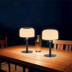Decorative Table Solar Light - Product Image 3