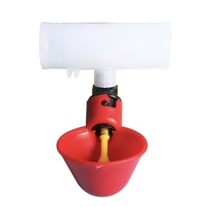 Nuevo <span class=keywords><strong>Bebedero</strong></span> <span class=keywords><strong>Automático</strong></span> de Plástico PP <span class=keywords><strong>para</strong></span> Aves de Corral, <span class=keywords><strong>Tubo</strong></span> de Agua <span class=keywords><strong>para</strong></span> <span class=keywords><strong>Pollos</strong></span>, Taza <span class=keywords><strong>para</strong></span> Beber, <span class=keywords><strong>para</strong></span> Uso en Granjas Avícolas - Product Image 3