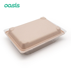 Oásis Personalizado Verde Biodegradável Descartável Açúcar Papel Placa Prato Fast Food Bandeja Talheres Eliminação Lunch Box - Product Image 5
