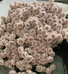 Rosa Artificiale a Stelo Singolo in Colori Nude, Fiori di Seta per Decorazioni Matrimoniali - Product Image 2