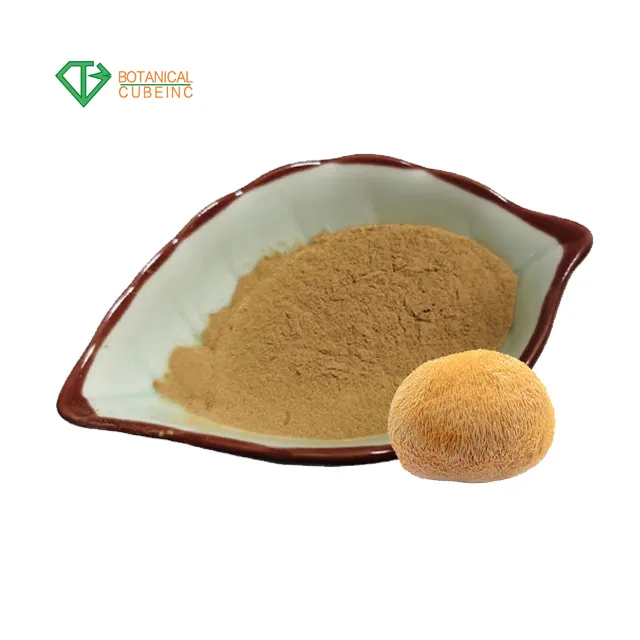 BCI Lions Mane Mushroom Powder 8:1 Extracted from Natural Chaga Lion's Mane Mushroom