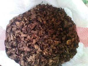 Té de Flor de Plumeria Seca Natural de Grado Alimenticio de Alta Calidad - Producto Agrícola al por Mayor - Product Image 5