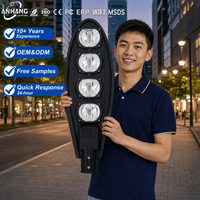 Farola LED para Exteriores Todo en Uno OEM ODM Tipo Cobra IP65 Impermeable de Aluminio Fundido a Presión AC 220V 100W