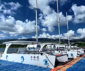 Catamaran à voile de luxe en fibre de verre 10m*4.9m avec moteur 1*90HP pour divertissement en haute mer, pêche, tourisme et excursions - Product Image 4