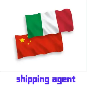 Best Shipping from China to Italy DDP Sea Air freight Forwarder