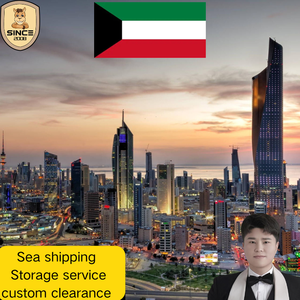 Expédition express rapide et efficace de Chine vers la Jordanie, le Koweït, Oman, Israël, l'Irak avec services de suivi d'expédition express à bas prix - Product Image 1