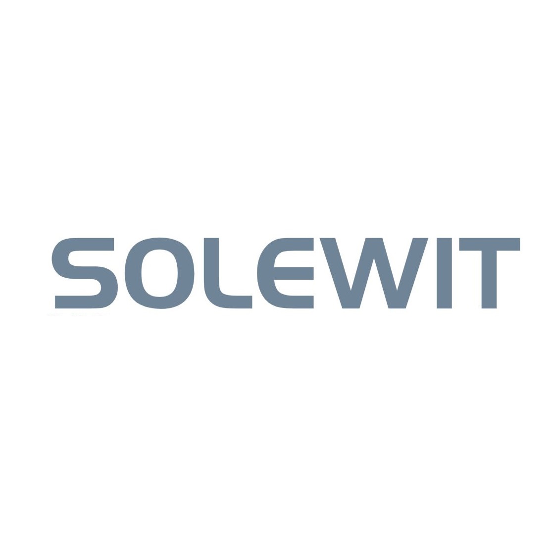 Nantong Soulwit Tools Co., Ltd. logo