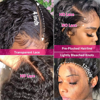 Perruque de Cheveux Humains Naturels Indiens Bruts Vierge en Gros Densité 180% avec Dentelle HD Complète et Transparente