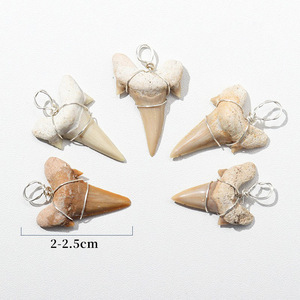 Dents fossilisées fil d'argent enveloppé fossiles dents collier pendentifs vrais fossiles préhistoriques accessoires de bijoux aléatoires - Product Image 2