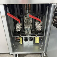Friteuse à gaz commerciale verticale grande capacité SWENZA, fourneau à gaz liquéfié, machine à frites