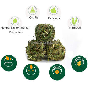 Timothy çim tavşan çiğnemek topu çim taşlama oyna Chew oyuncaklar tavşanı tavşan Hamster gine domuzlar Gerbils - Product Image 5