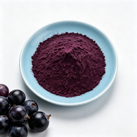 Poudre d'extrait de fruit d'açaï brésilien, matière première riche en antioxydants emballée en vrac pour compléments alimentaires et aliments fonctionnels