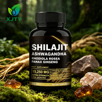 Vente en gros d'usine - Shilajit 8-en-1 - Complément alimentaire naturel pour adultes - Immunité - Anti-fatigue - Ashwagandha - Rhodiola Rosea - Panax