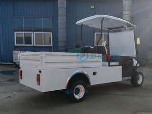 Voiturette de golf 2 places à coloris personnalisé, nouveau design, très demandée, pour transport extérieur avec porte - Product Image 5