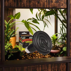 Lampada Riscaldante per Rettili Ecologica di Alta Qualità, Emettitore di Calore per Tartarughe Nere, Vendita Diretta dalla Fabbrica - Product Image 2