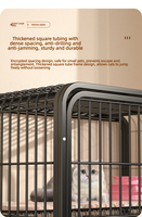 Cages pour chats, villas pour chats, espaces de promenade libre, enclos pour chats, maisons pour chats, refuges pour chats, nids pour chats et structures d'escalade pour chats