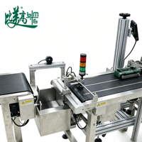 Machine tout-en-un de marquage laser automatique haute précision avec inspection CCD et rejet des défauts pour sachets