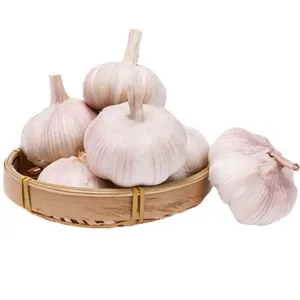 Fresh Garlic From China Wholesale Price Of Fresh Garlic
