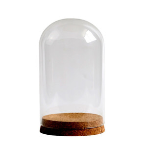 Wholesale Clear Modern Glass Cloche with Cork Base Tabletop Vase for Home Decoration Flowers