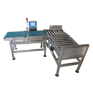 Con Lăn Băng Tải Cảm Ứng Kỹ Thuật Số Tự Động Hộp Thực Phẩm Máy Kiểm Tra Cân Bằng Với Máy Dò Kim Loại - Product Image 1