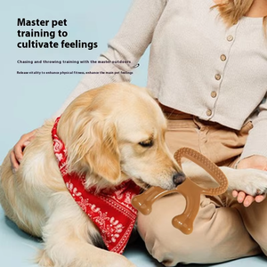 Durable indestructible perro masticar juguetes carne sabor Nylon no tóxico interactivo Limpieza de dientes promueve la salud <span class=keywords><strong>Dental</strong></span> para - Product Image 2