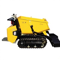 Mini-Raupenlader mit 800kg Kapazität, Kohler-Motor und Vollhydrauliksystem