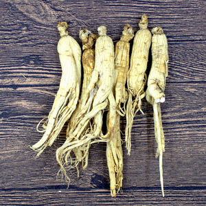 Высококачественные китайские лекарственные травы Changbai, Органический Женьшень, женьшень <span class=keywords><strong>Panax</strong></span> - Product Image 5