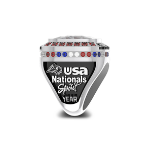 Bague de championnat classique personnalisée avec logo, bijoux sportifs pour hommes et femmes, alliage, pierres précieuses, plaqué or, pour le basketball - Product Image 4